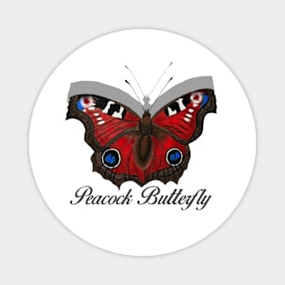 Peacock Butterfly Labeled Magnet